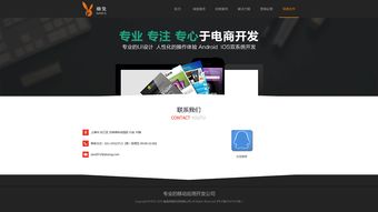 企業(yè)官網(wǎng)